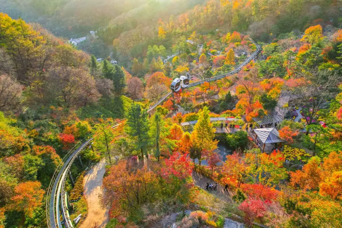 화담숲 단풍 전경