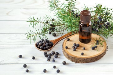 주니퍼와 주니퍼 에센셜 오일