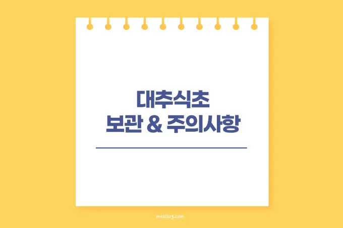 대추식초 보관 주의사항