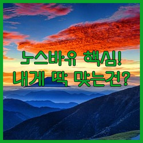 노스바유 모니터암 싱글 듀얼 H100..