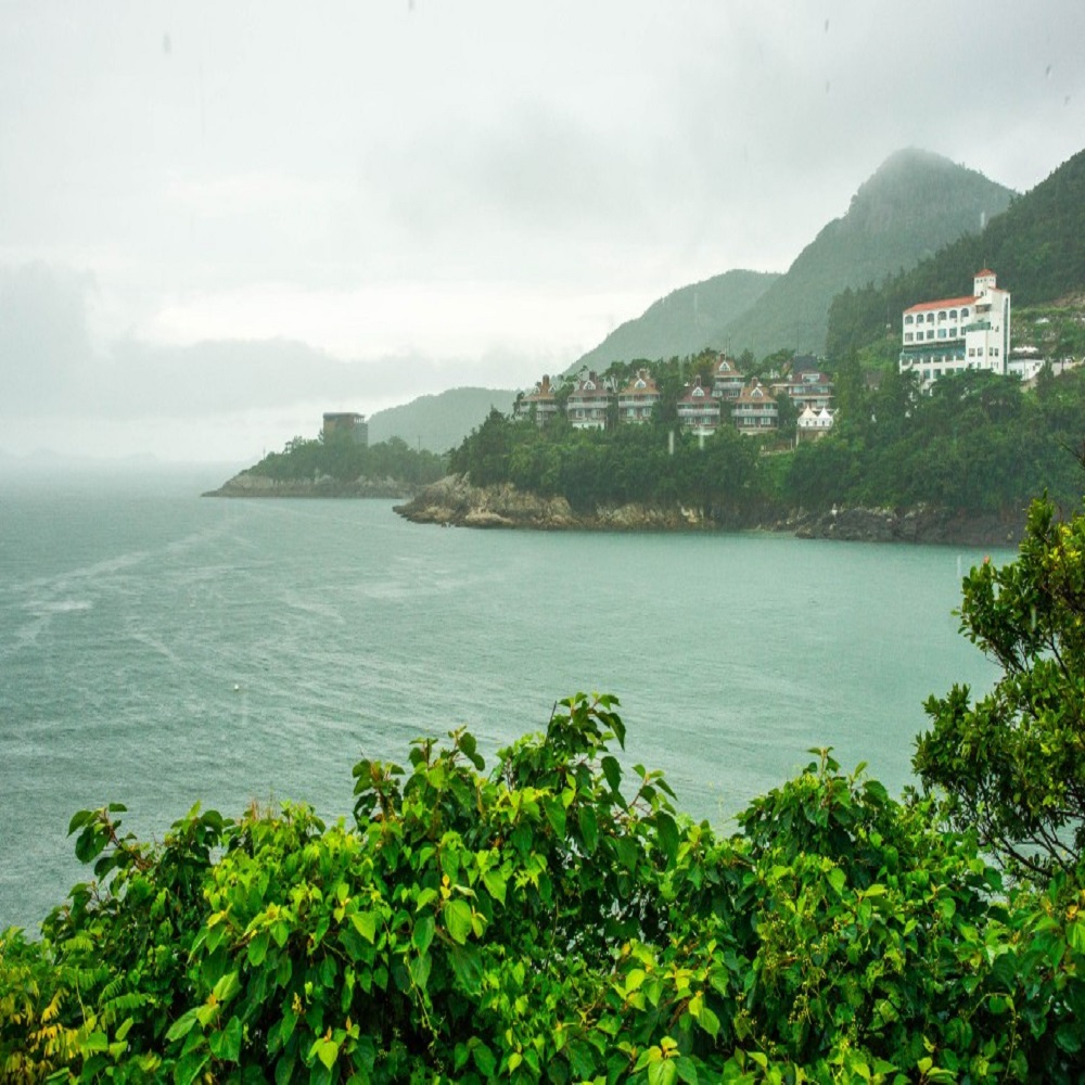 모항갯벌 해수욕장 바로가기