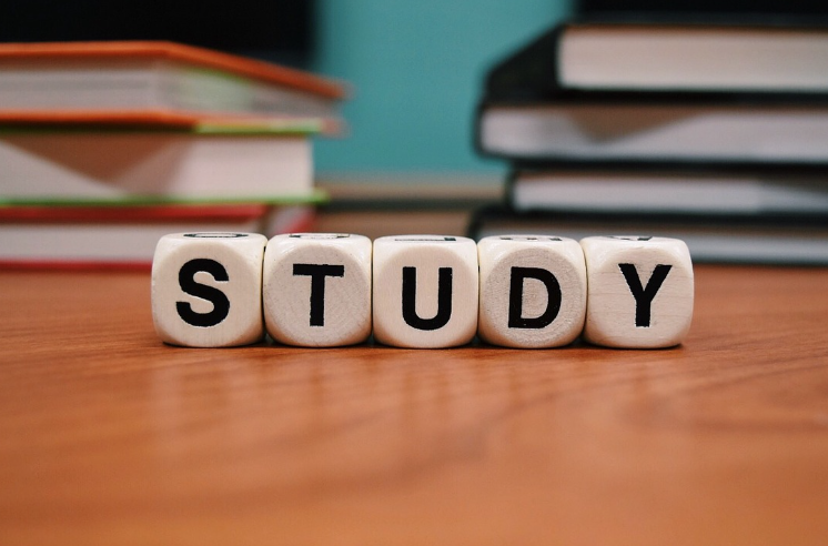 머신러닝 기초 교육 AI 모델 개발 및 훈련