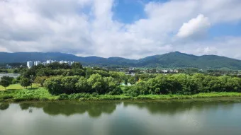 양평 가볼만한곳 베스트10 두물머리 연잎핫도그_22