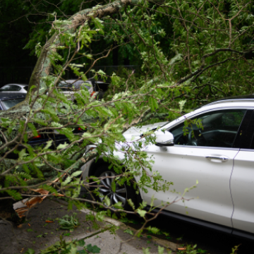 다이렉트 자동차보험료 비교견적 사이트