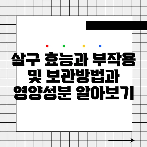 살구 효능과 부작용 및 보관방법과 영양성분 알아보기