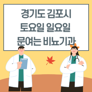 경기도 김포시 토요일 일요일 비뇨기과 진료 문여는 병원 리스트