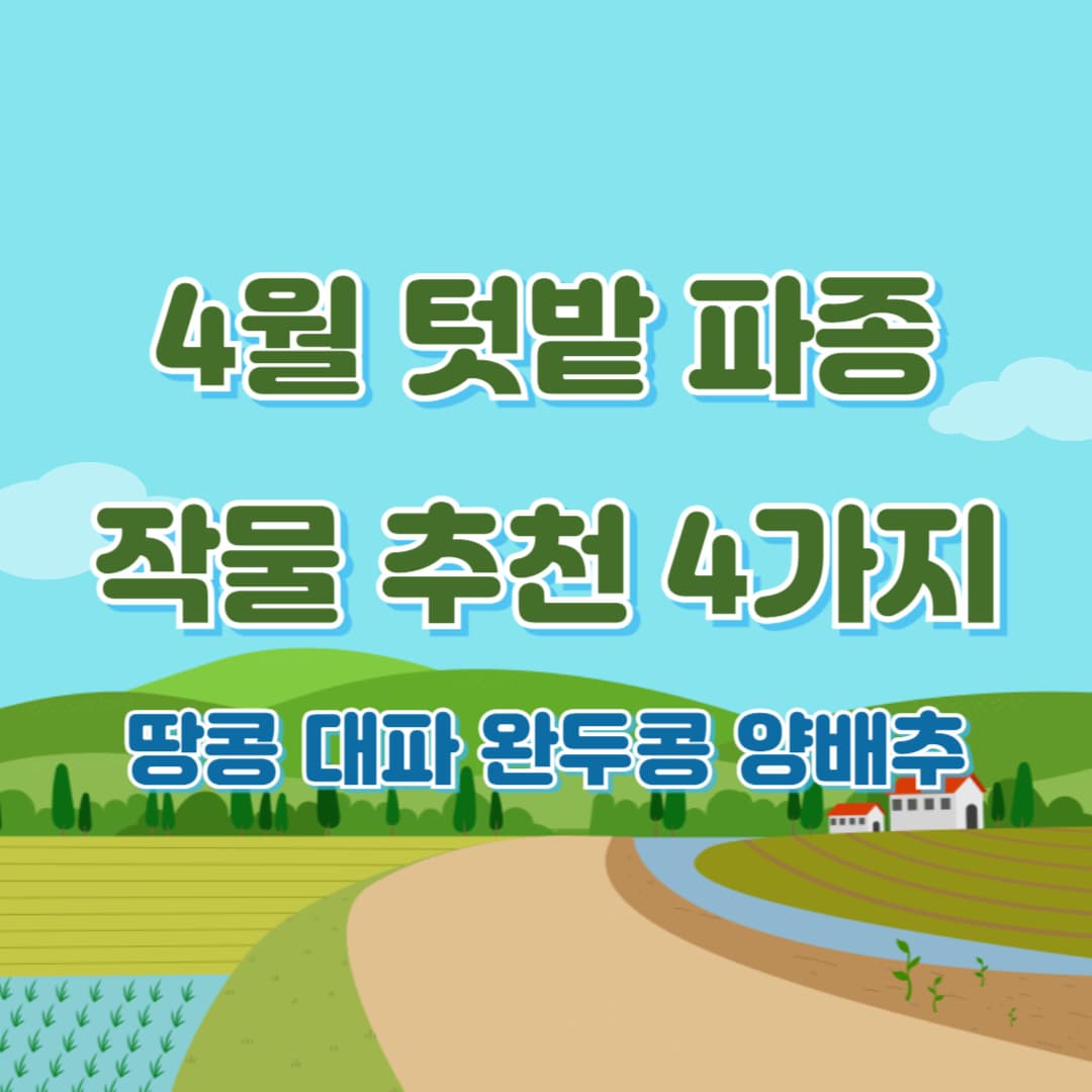 4월 파종 텃밭 작물 추천: 땅콩 대파 완두콩 양배추