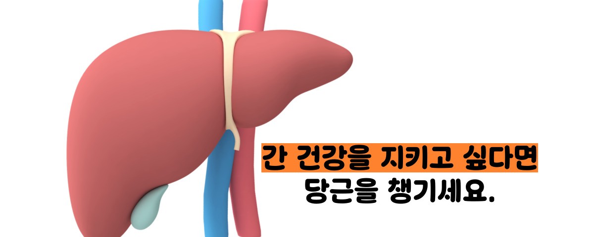 당근 효능 부작용