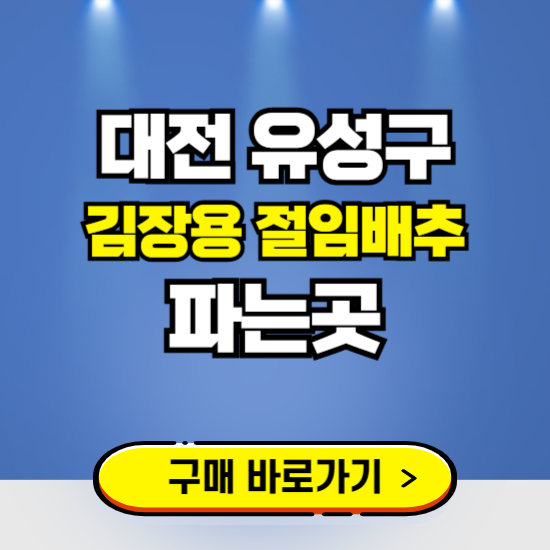 유성구 절임배추 사전예약 구입하는곳 ❘ 김장배추 파는곳 가격보기