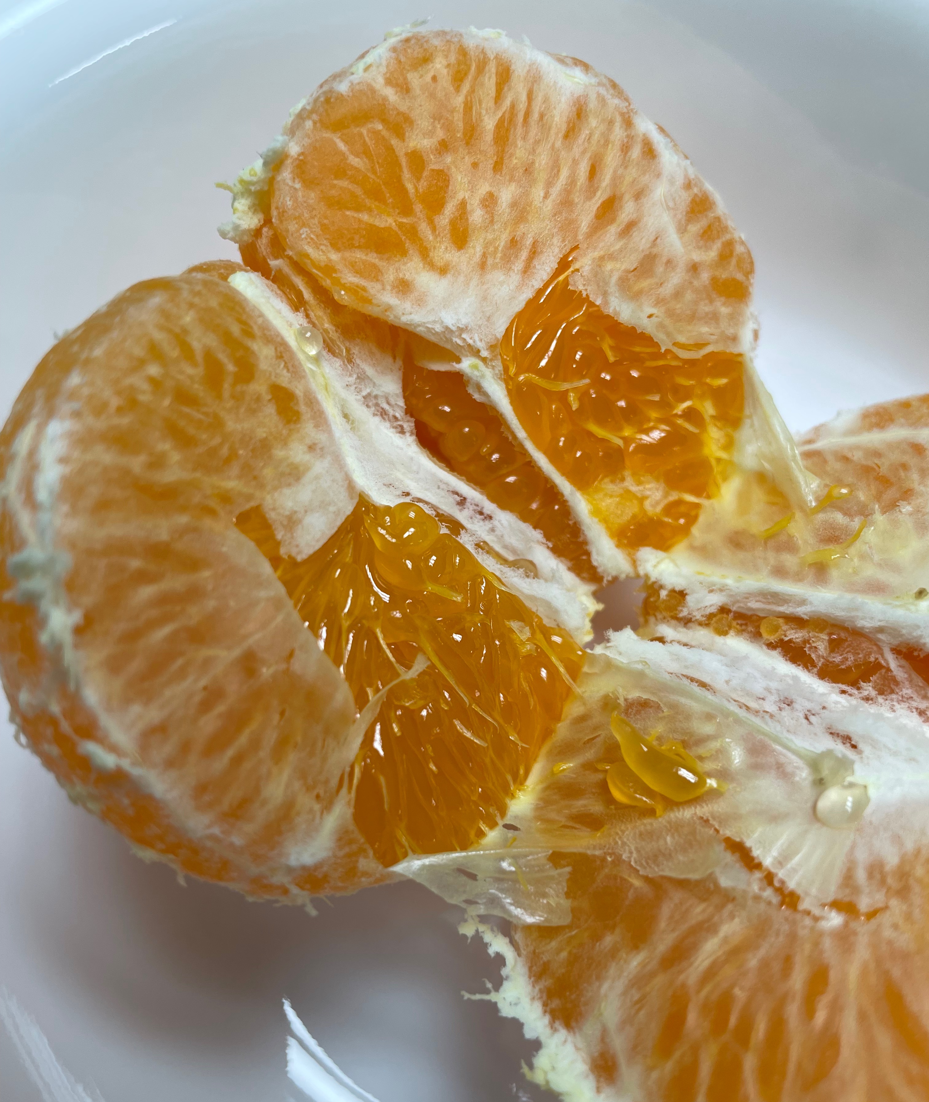 레드향 속 알맹이