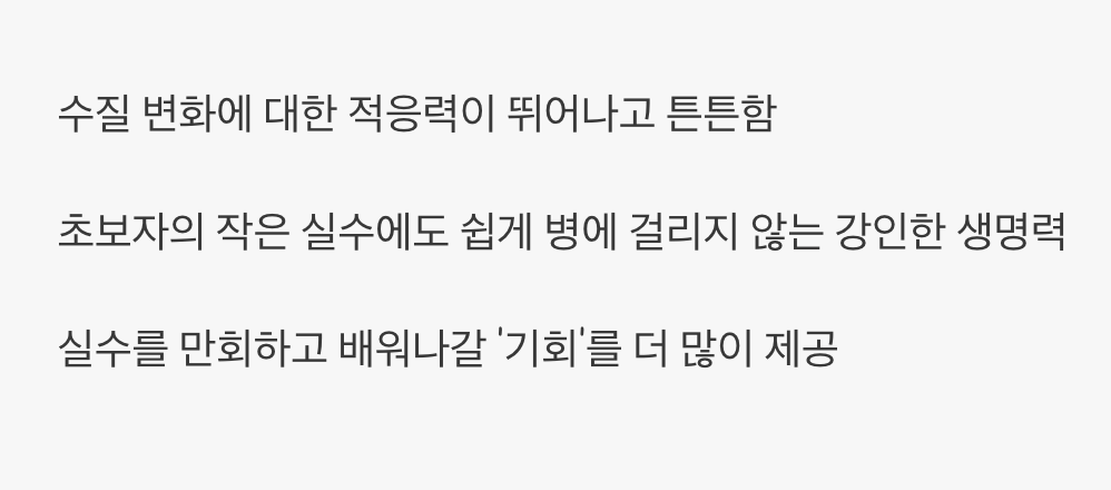 튼튼한 생명력, 초보자의 실수를 감싸주다