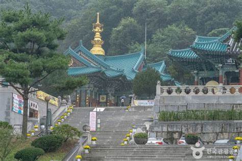 용인 애견 동반 관광지 법륜사