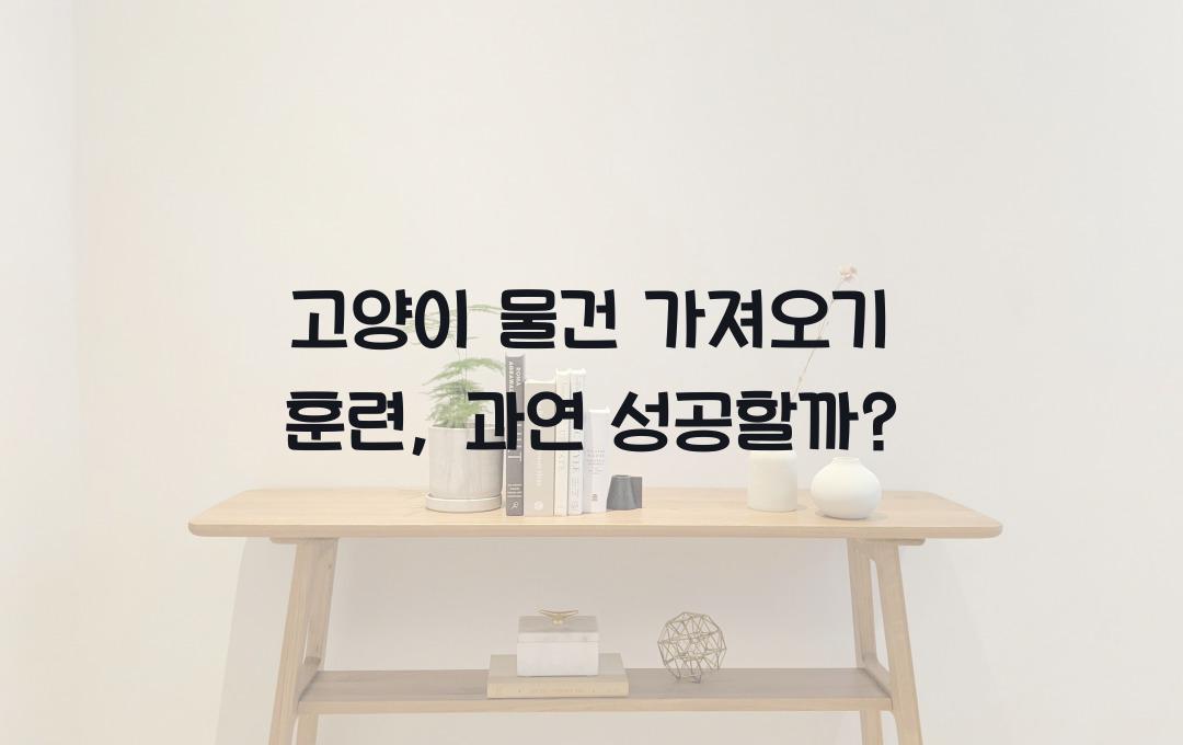 고양이 물건 가져오기 훈련, 가능할까?