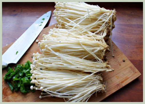 팽이버섯 면역력 효과