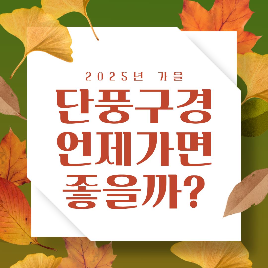 2025년 단풍 시기