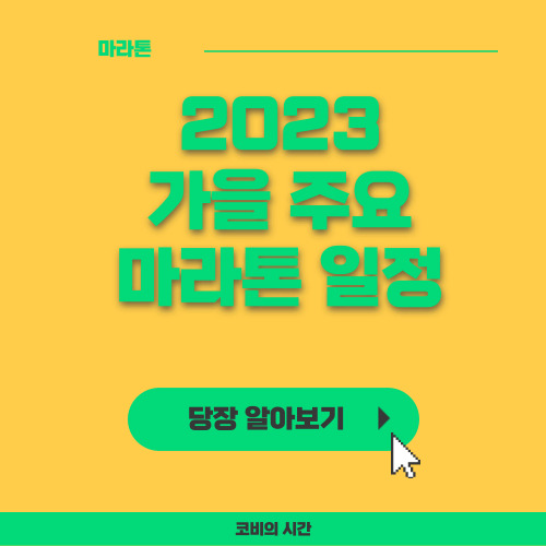 23 가을 주요마라톤 일정
