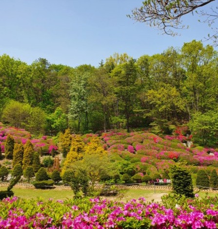 율봄식물원 방문 정보