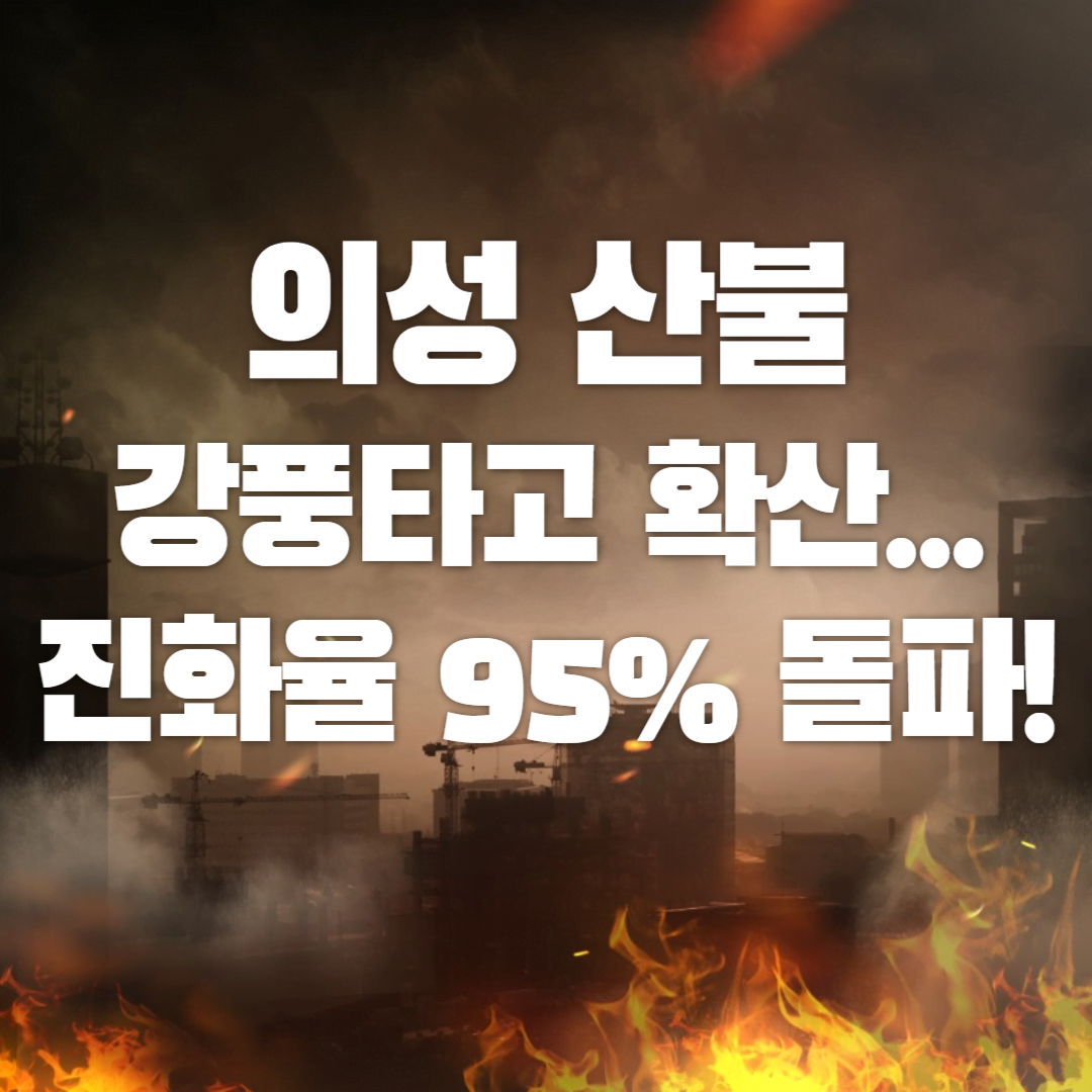 의성 산불 원인, 피해 현황, 진화 작업 총정리