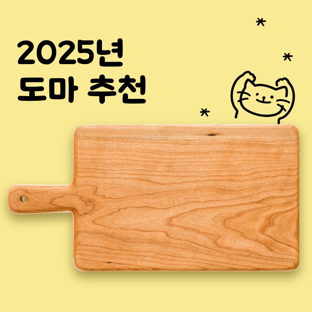 2025년 도마 추천