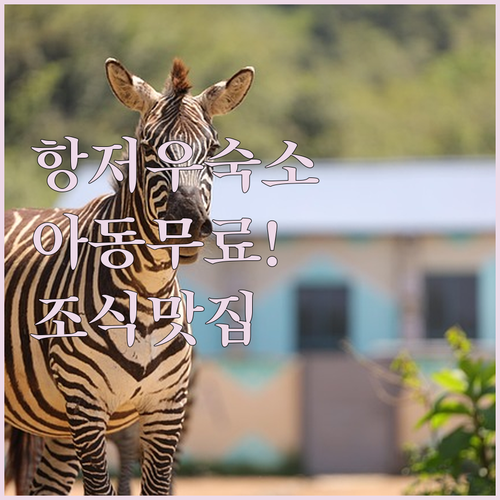 직접 고른 항저우 호텔 추천 리스트 ..
