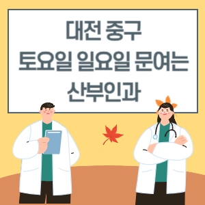 대전 중구 토요일 일요일 산부인과 진료 문여는 병원 리스트