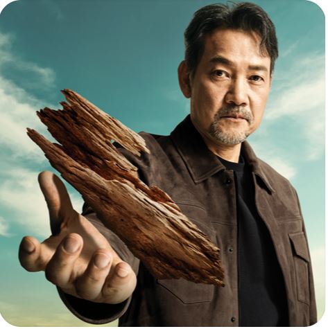 정관장 침향환