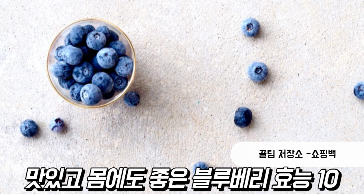 블루베리 효능 10가지 블루베리 효능 10가지