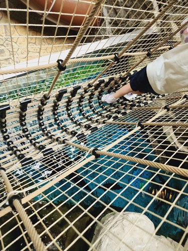 아쿠아플라넷 일산 할인 입장권 저렴한곳 + 다녀온 후기