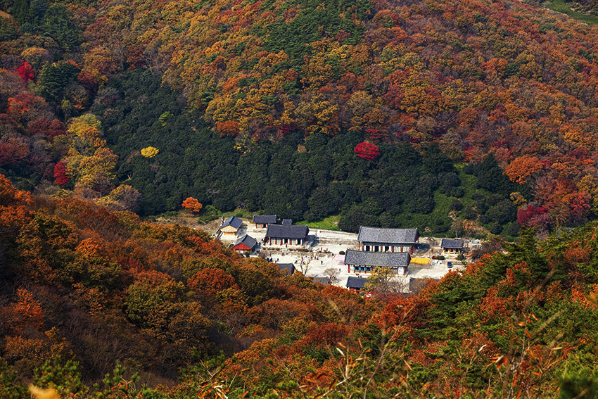 선운산 등산지도