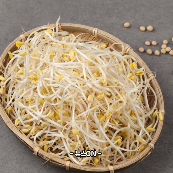 콩나물 무침 맛있게 만드는법