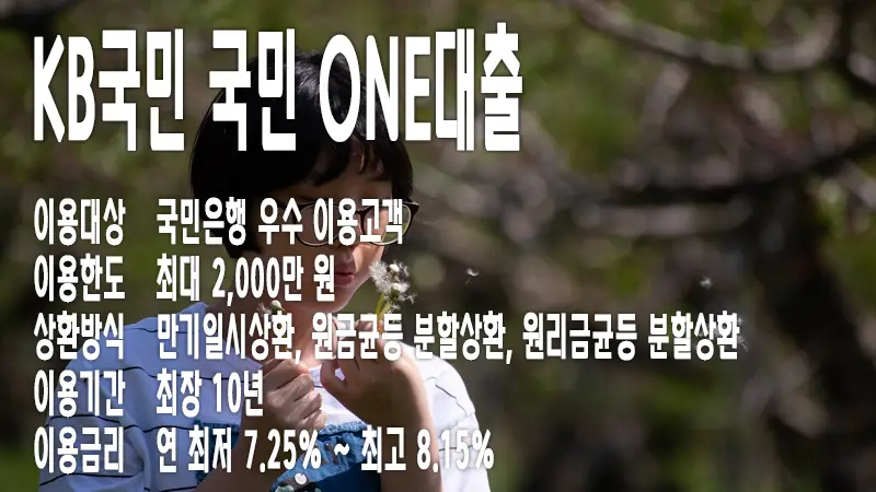 KB국민은행 신용대출 국민 ONE대출