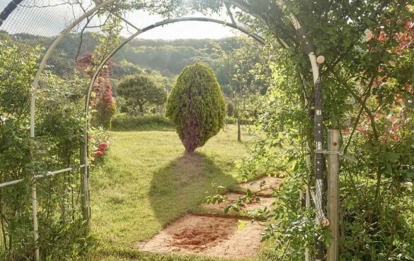 고창 가볼만한곳 베스트 10