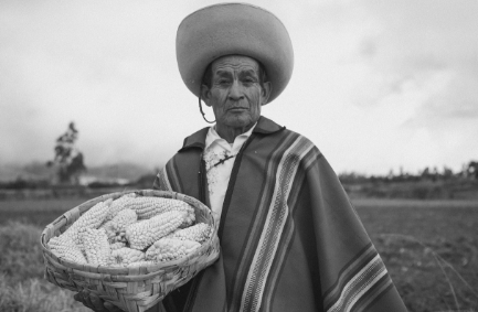 문화는 밥상에서 시작된다 – 식문화에 담긴 지역 정체성