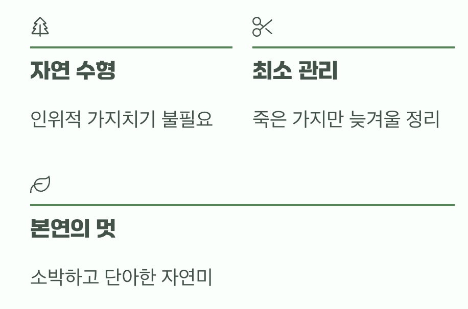 비결 3. 그대로의 멋&amp;#44; &amp;#39;자연스러운 수형&amp;#39;