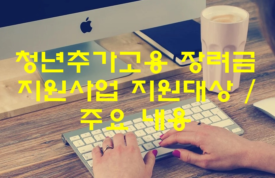 청년추가고용 장려금 지원사업