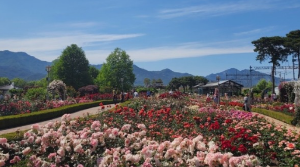 꼭 가야하는 축제 BEST 5곳