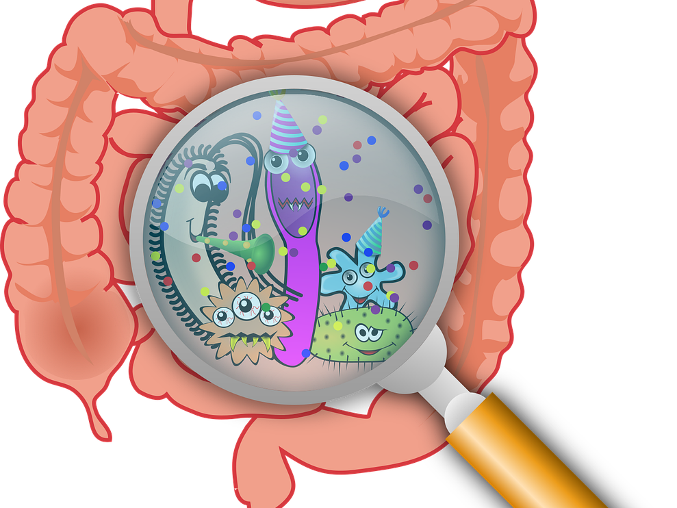 장 건강을 지키는 유산균과 식이섬유