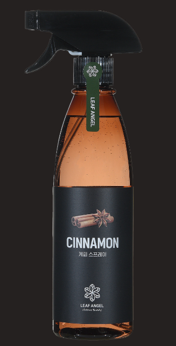 새 집 벌레 먼지다듬이 퇴치방법