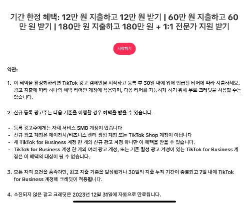 틱톡-포-비즈니스