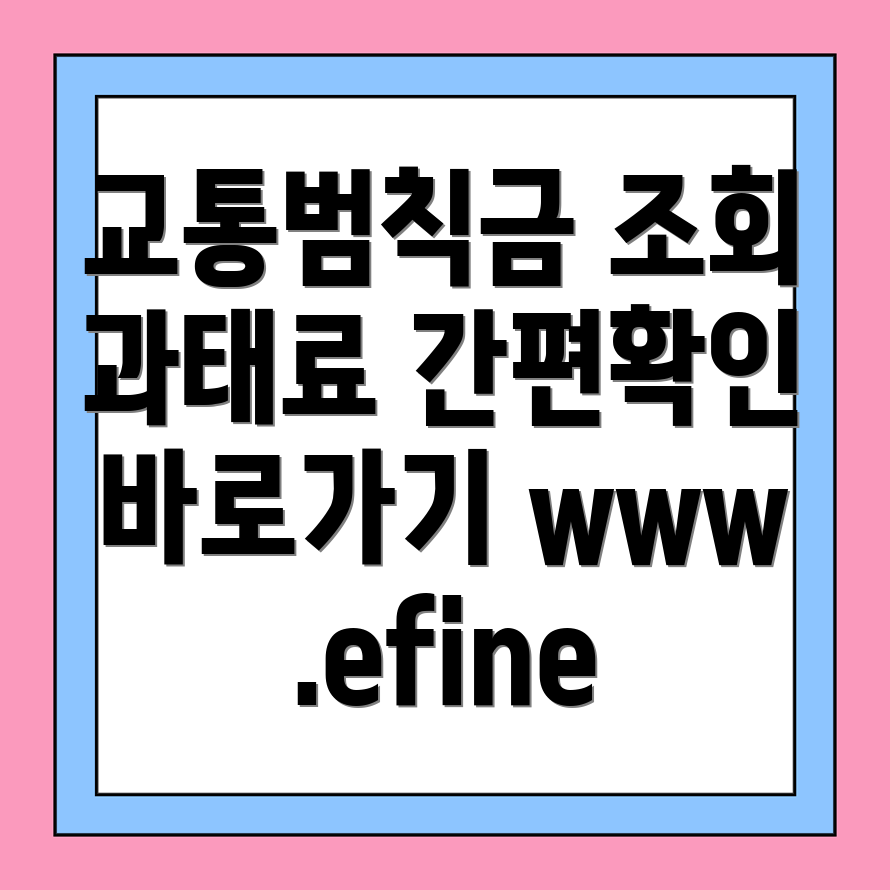 교통범칙금 조회