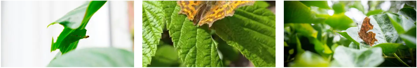 바쁜 일상에 잠깐의 ‘녹’빛 쉼표를 “잠시 멈춰도 괜찮아.”