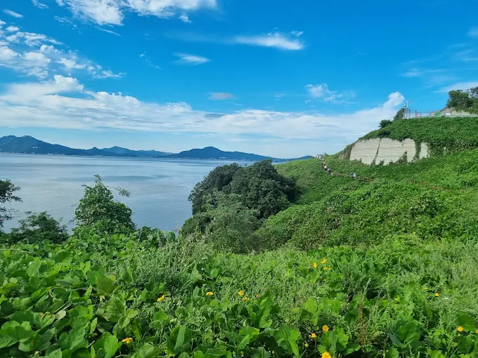 예단포둘레길 소개