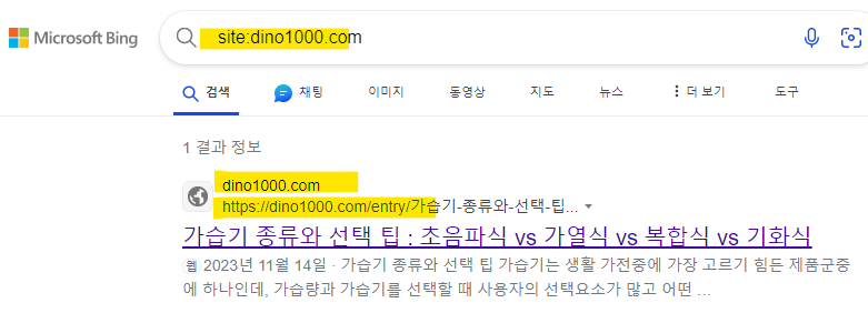 빙-사이트-노출-검색