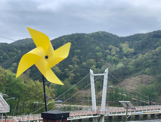 곡성장미축제 기간