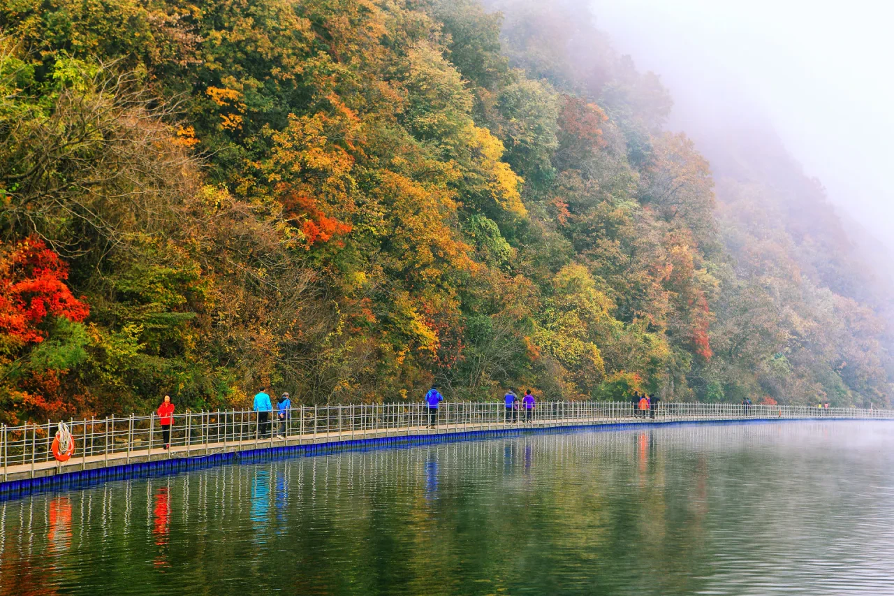 DMZ 평화의 길 9월 재개: 테마 노선, 일정, 참여 방법