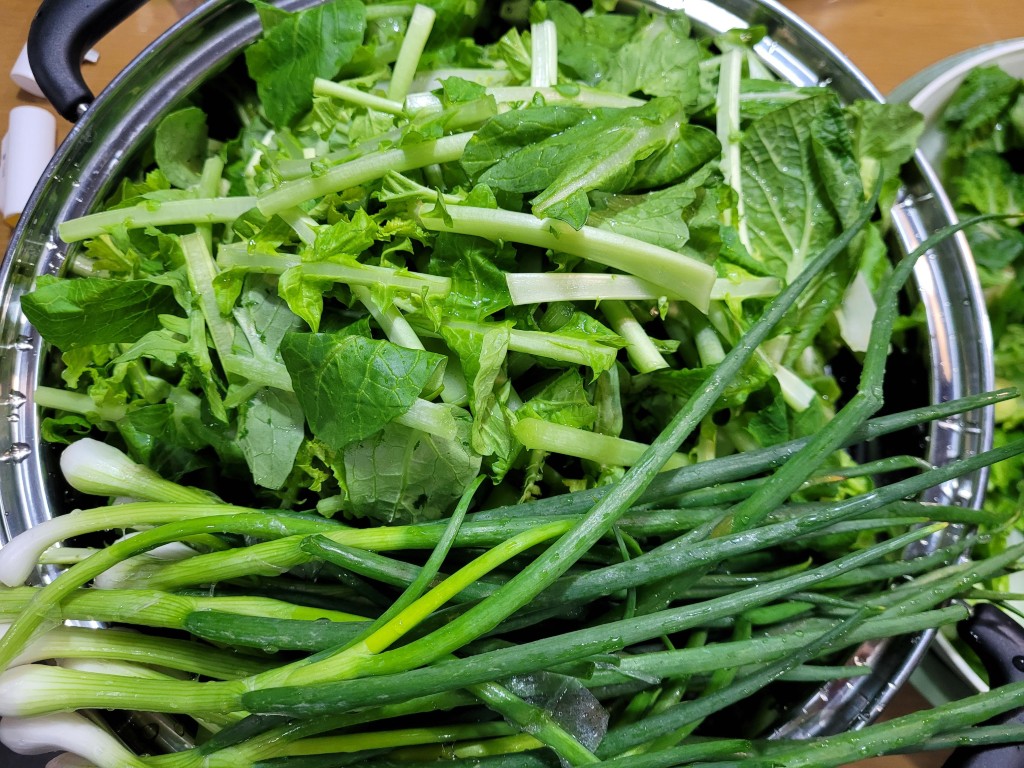 손질한 열무와 쪽파를 함께 준비한 모습