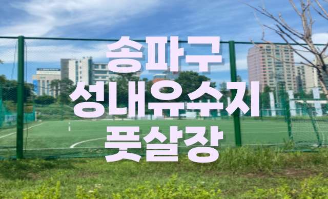 송파구 성내유수지 인조잔디 풋살장 예약하기