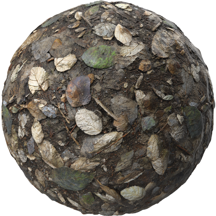 damp earthy leaves texture