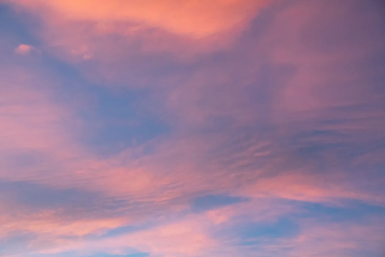 제16편부터 제20편까지의 구조적 정리: 인간은 왜 기대값 계산자가 아닌가