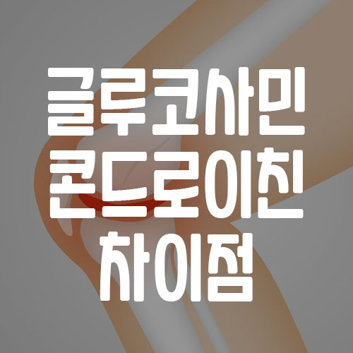 글루코사민 콘드로이친 차이점